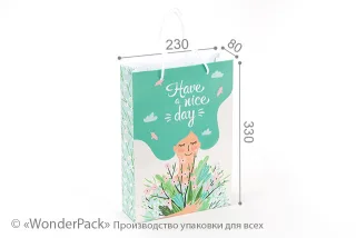 Пакет подарунковий ПР003-о2. 330*230*80 мм. "Have a nice day"