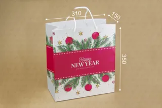 Пакет подарунковий ПР005-о6 350*310*150 мм. "Happy New Year"