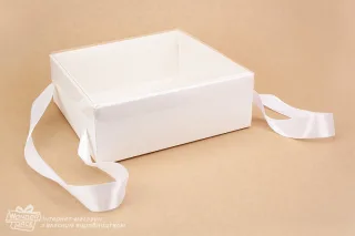 Коробка 210*210*70 з пластиковою кришкою та ручками