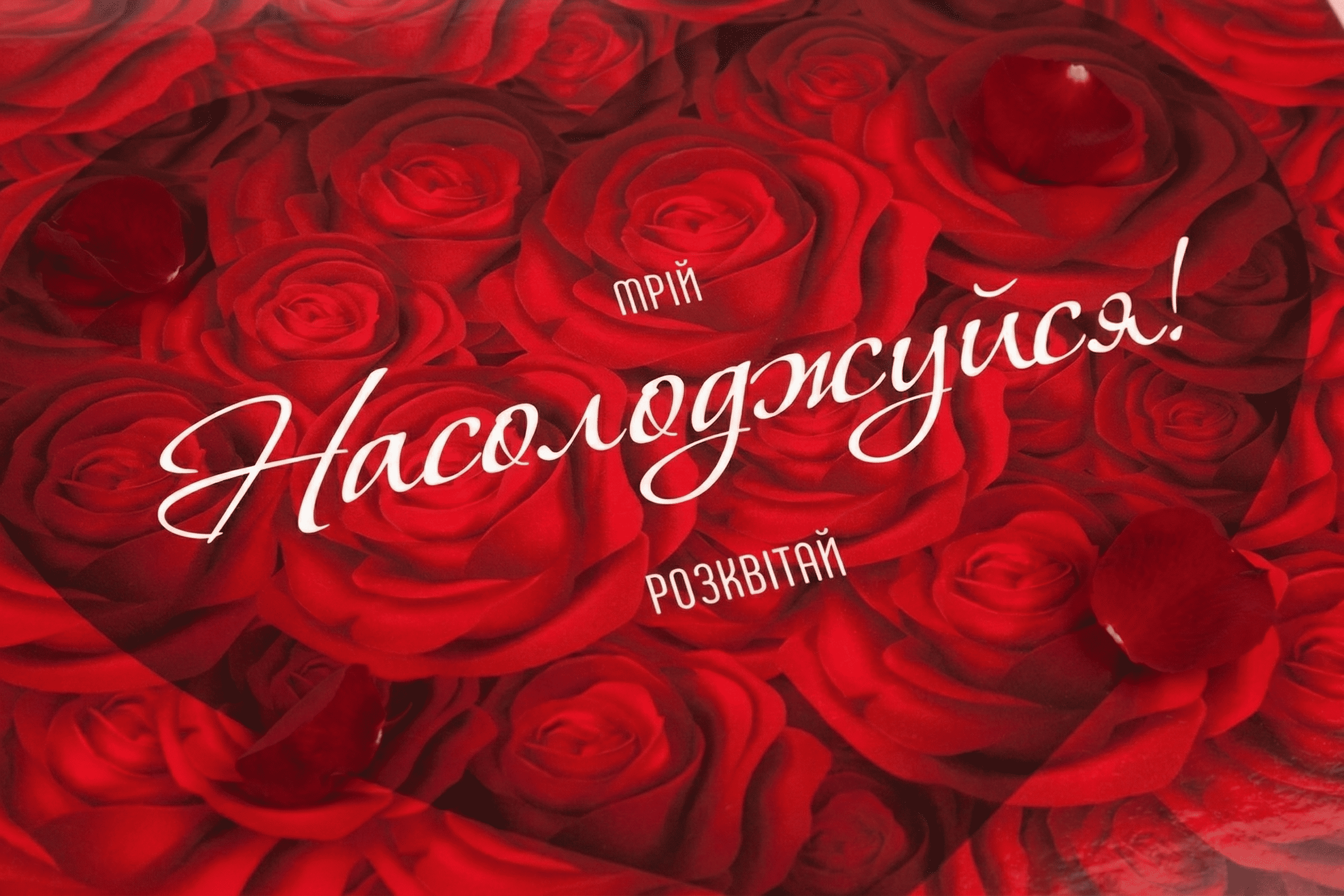 Коробка "Баварія" №М0033-о13. "Насолоджуйся" - 5