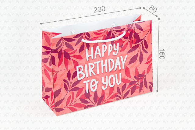 Пакет подарунковий ПР002-о11. 230*160*80 мм. "Happy birthday to you!"