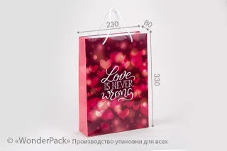 Пакет подарочный ПР003-о8. 330*230*80 мм. "Love is never wrong"